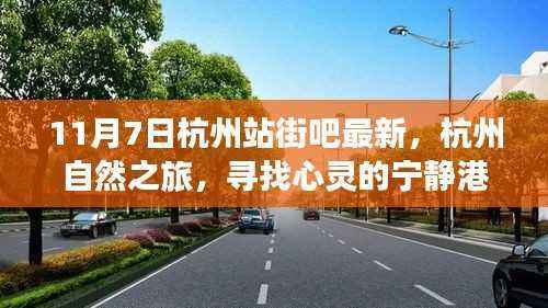 杭州站街吧最新动态与心灵港湾的自然之旅