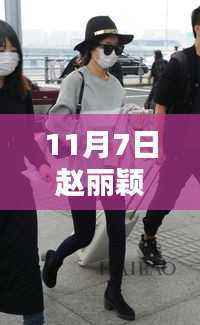 赵丽颖恋情最新动态揭秘,深度解析、特性、体验、竞品对比与用户群体洞察