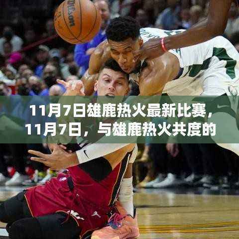 11月7日雄鹿热火对决,共度温馨篮球时光