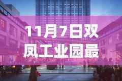 双凤工业园招聘盛事揭秘,隐藏宝藏与小巷特色小店招募人才