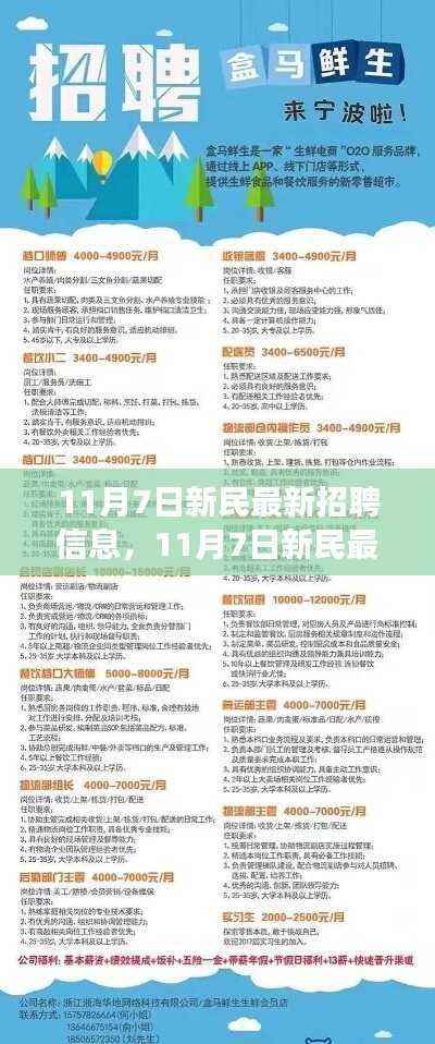 11月7日新民最新招聘信息与招聘启事,变化助力成长,学习铸就自信