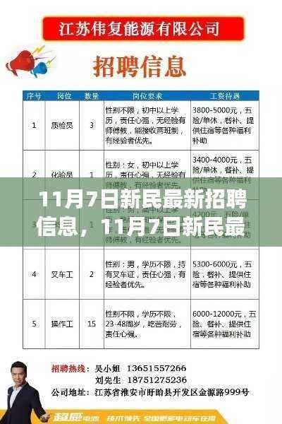11月7日新民最新招聘信息与招聘启事,变化助力成长,学习铸就自信