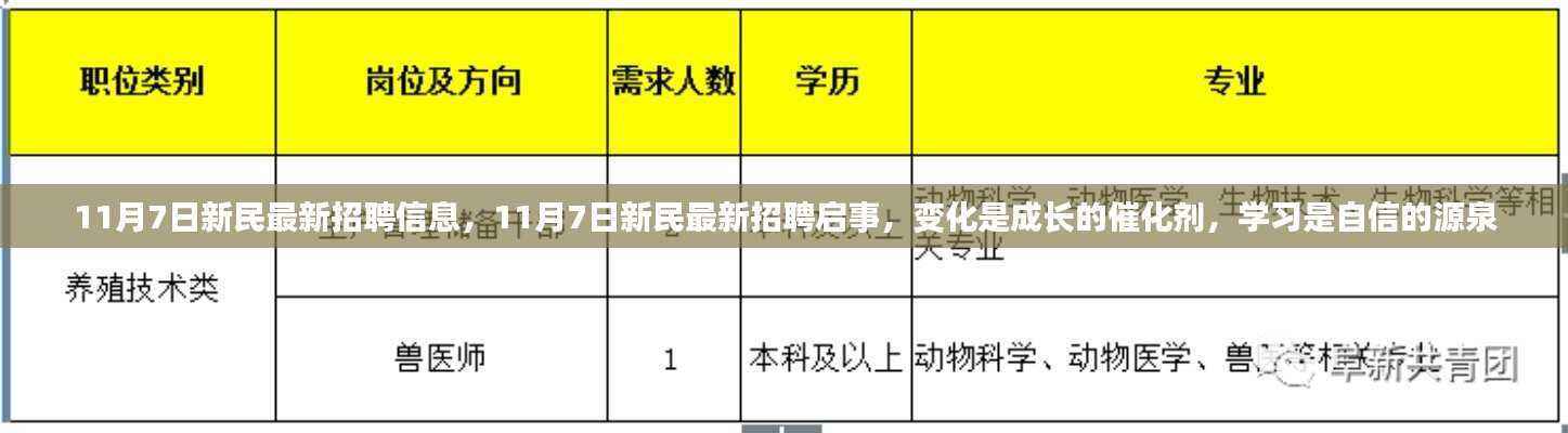 11月7日新民最新招聘信息与招聘启事,变化助力成长,学习铸就自信