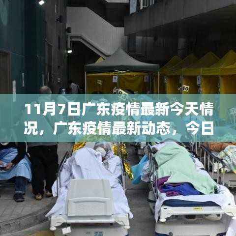 广东疫情最新动态深度观察,11月7日深度分析与影响