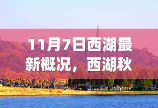 西湖秋韵,秋日湖畔的温馨故事与最新概况揭秘