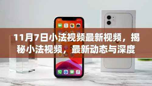 揭秘小法视频最新动态,深度解读与最新资讯(11月7日专刊)