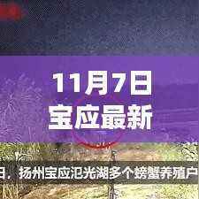 星星打烊 第12页