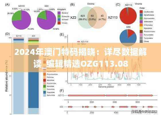 2024年澳门特码揭晓:详尽数据解读_编辑精选OZG113.08