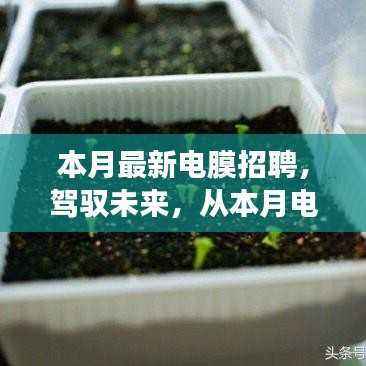 驾驭未来,本月电膜招聘启航,变化中的学习成就自信与成长之路