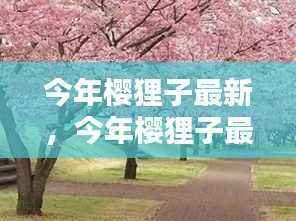 今年樱狸子最新动向深度探讨,聚焦观点解析与动态更新