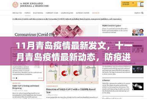 小红书带你了解青岛疫情最新动态与应对策略,防疫进展十一月报告