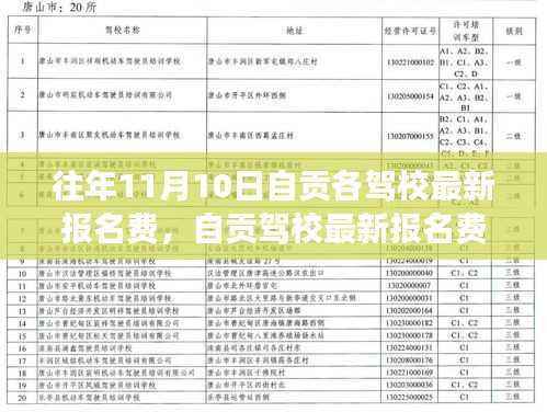 往年11月10日自贡驾校报名费全面解读与最新曝光