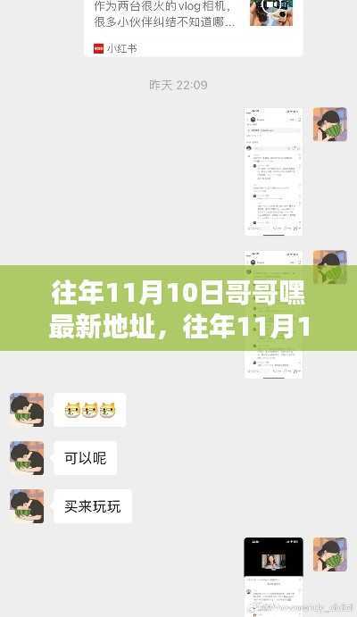 往年11月10日哥哥嘿最新地址,全面评测与详细介绍