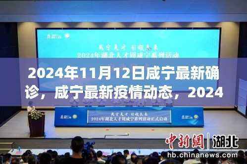 咸宁最新疫情动态深度解析,2024年11月12日确诊情况与最新动态
