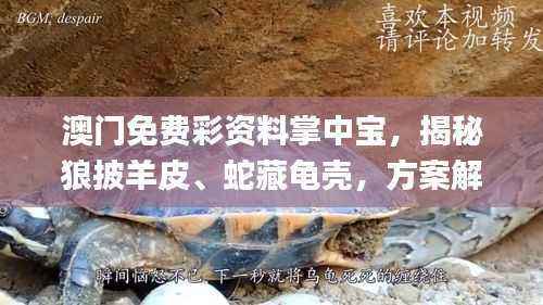 澳门免费彩资料掌中宝,揭秘狼披羊皮、蛇藏龟壳,方案解答全收录_XDI785.16