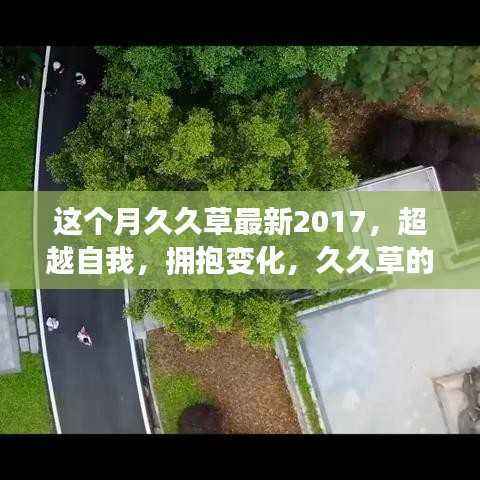 久久草成长记,超越自我,拥抱变化,展望未来的光辉(久久草最新动态 2017)