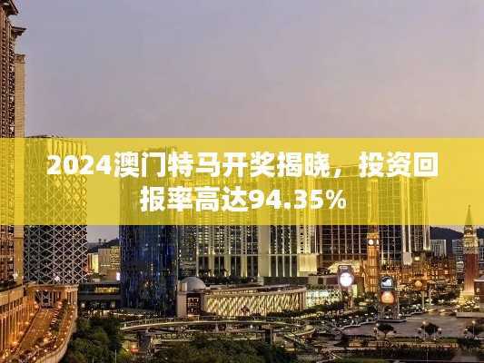 2024澳门特马开奖揭晓,投资回报率高达94.35%