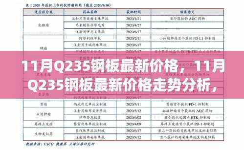 多方观点碰撞与个人立场阐述,揭秘11月Q235钢板最新价格及走势分析