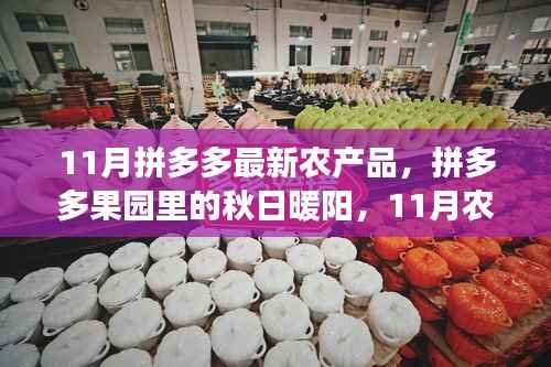 拼多多果园里的秋日暖阳,11月农产品与友情的温馨篇章