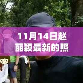 赵丽颖最新照片曝光，11月14日的璀璨瞬间风采展露无遗