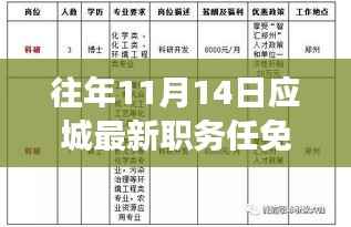 应城职务任免背后的美食宝藏,小巷深处特色小店探秘之旅