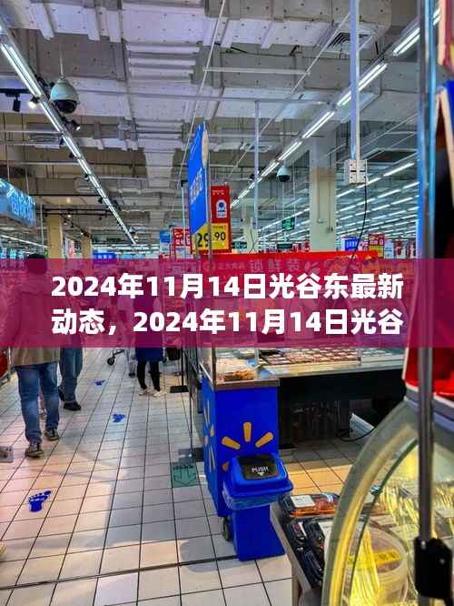 科技与生态的融合,光谷东最新动态揭秘(2024年11月14日)
