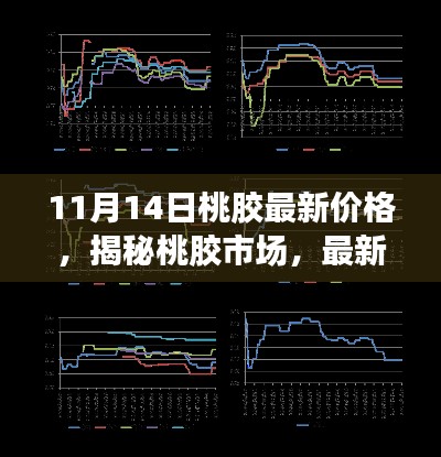 揭秘桃胶市场,最新价格动态与行业洞察(以桃胶价格行情为例)