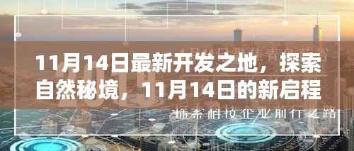 11月14日新启程,探索自然秘境,寻找内心宁静与平和之旅