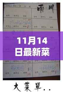 最新菜单本制作指南,手把手教你完成11月14日菜单本设计