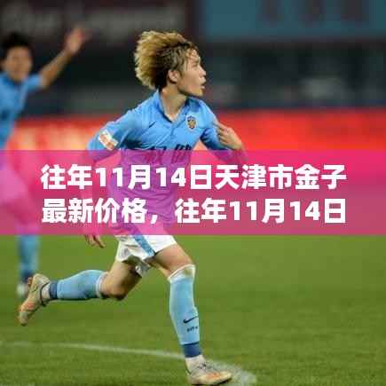 往年11月14日天津市金子价格回顾与趋势分析,最新价格及展望