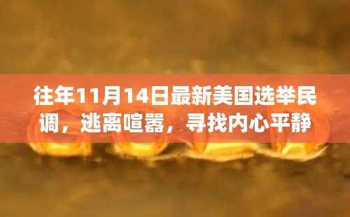美国选举民调与自然美景交织,心灵静谧之旅的奇妙碰撞