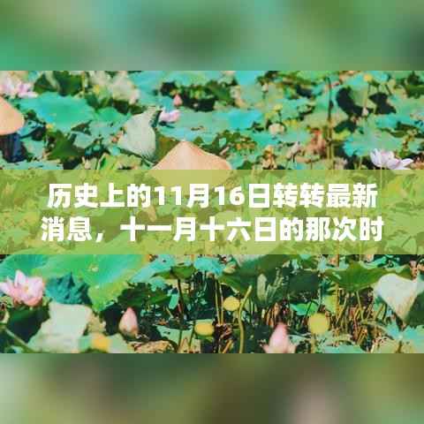 十一月十六日时光穿梭,温馨友谊日的历史与最新消息