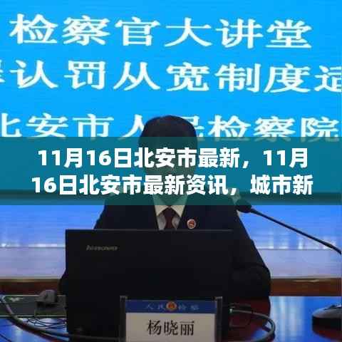 11月16日北安市最新资讯,城市新动态与生活点滴全掌握