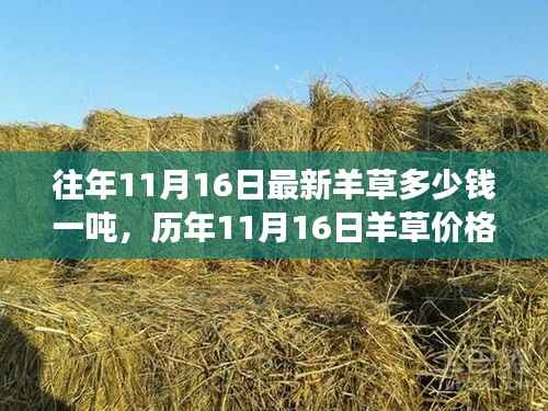 历年11月16日羊草价格回顾,市场波动与时代变迁下的价格见证者,最新羊草价格一探究竟!