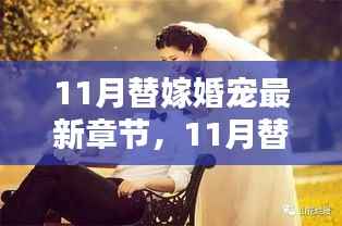11月替嫁婚宠最新章节深度解析与背景探讨
