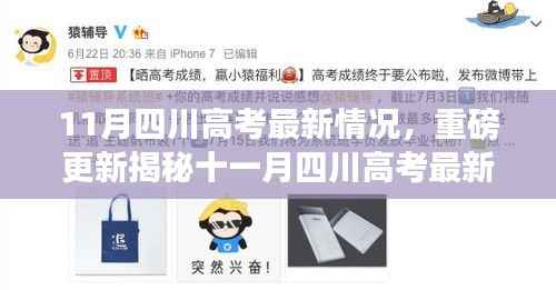 十一月四川高考最新动态揭秘,全面更新,你所关心的都在这里!