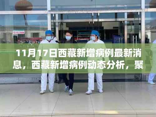 西藏新增病例动态分析与最新消息探讨,聚焦11月17日数据