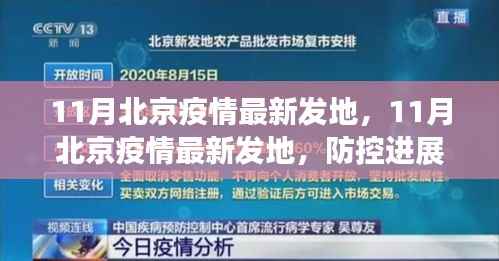 北京疫情最新动态,防控进展、数据解读与案例分析(11月版)