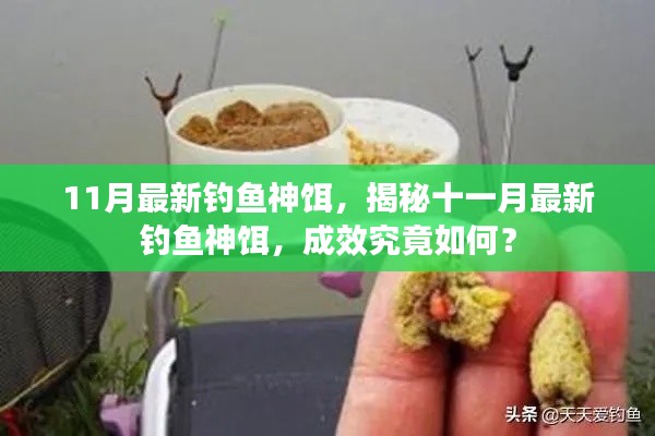 揭秘,十一月最新钓鱼神饵,效果如何?试用体验报告
