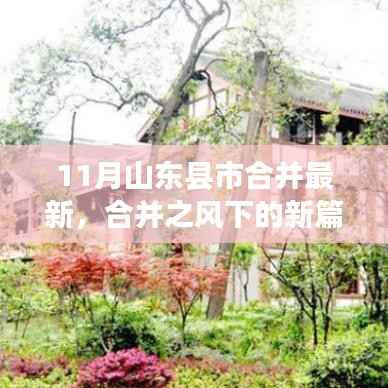 山东县域合并新篇章,十一月县市合并与温馨故事