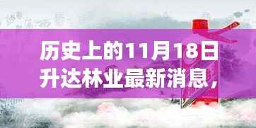 历史上的11月18日升达林业最新发展动态概览