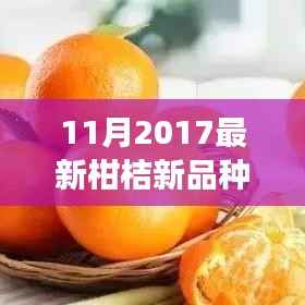 柑橘新篇章,学习变化,自信成就梦想——探索最新柑桔新品种