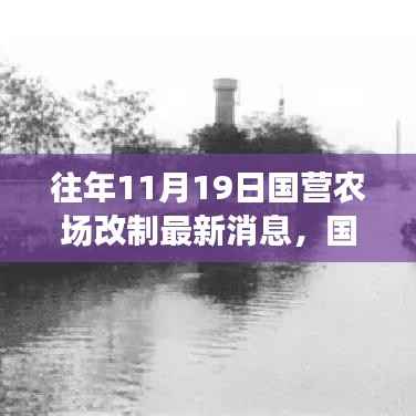 历年11月19日国营农场改制进展与深远影响,最新消息与历程回顾