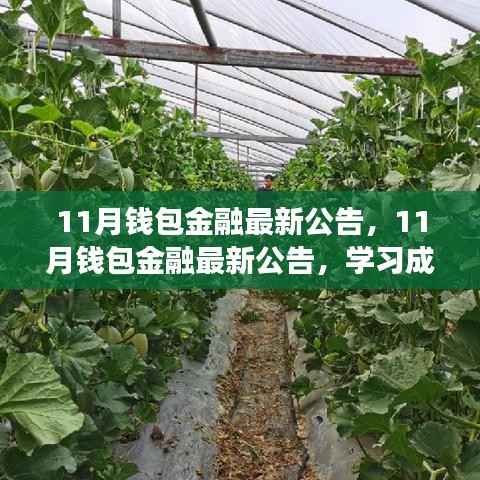 钱包金融最新公告,共创金融新篇章,学习成长之路与你同行