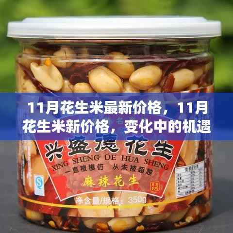 11月花生米价格动态,机遇与自我超越的旅程