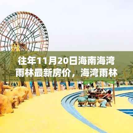 海湾雨林房价揭秘,家梦奇缘与温馨对话日纪实录