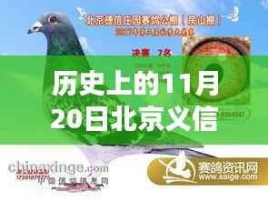 北京义信公棚特别聚会日,回顾历史与温馨记忆,最新信息一览