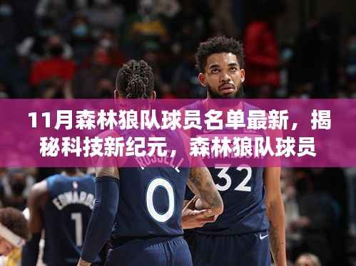 揭秘科技新纪元,森林狼队球员名单背后的科技力量与篮球生活的重塑