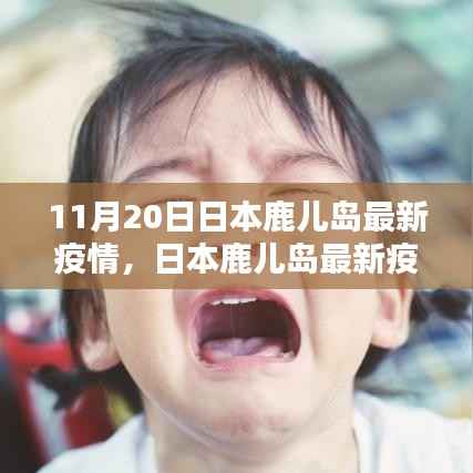 日本鹿儿岛最新疫情动态分析报告(截至11月20日)