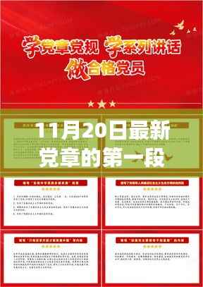 最新党章第一段深度解读,理解其核心意义与学习指南(初学者与进阶者的必备指南)